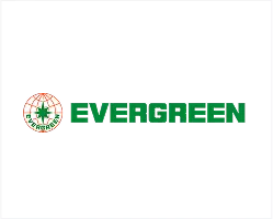 Evergreen America